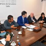 Avanza en el Senado provincial el proceso para eliminar las PASO en Salta