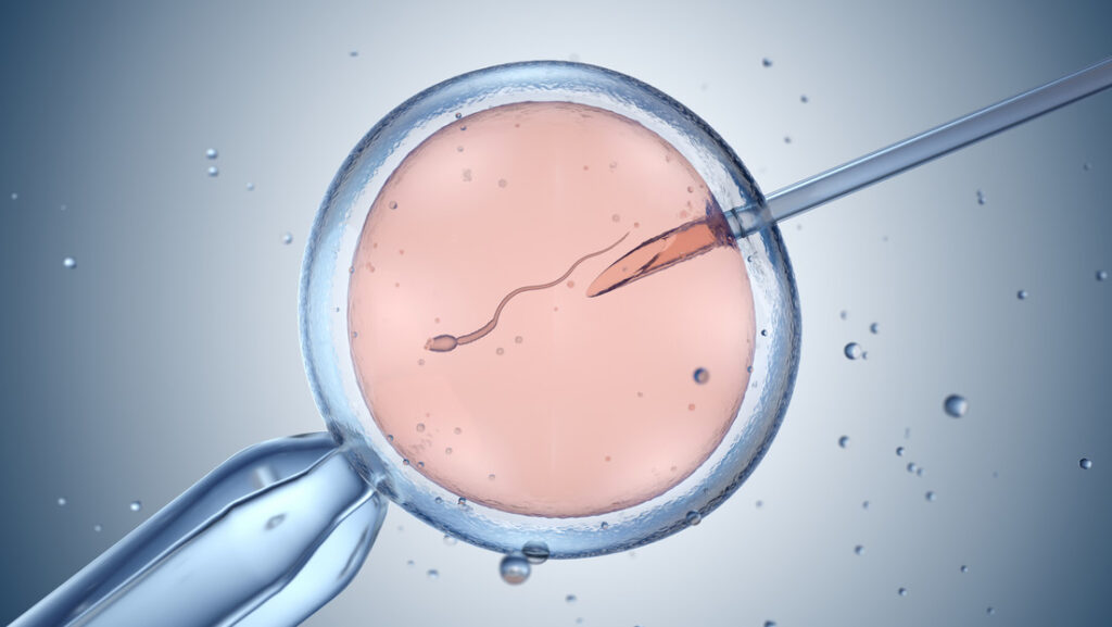 Fecundacion in vitro