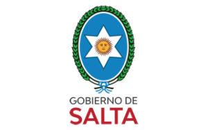 Gobierno de Salta 320 200