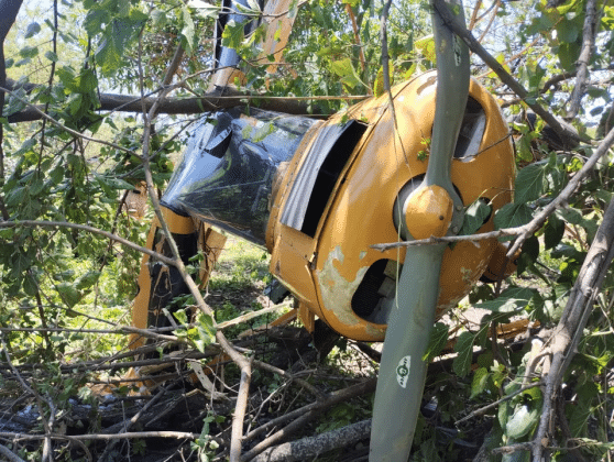 Avioneta siniestrada 3