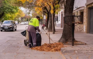 Barrido 1