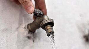 Agua canilla 1