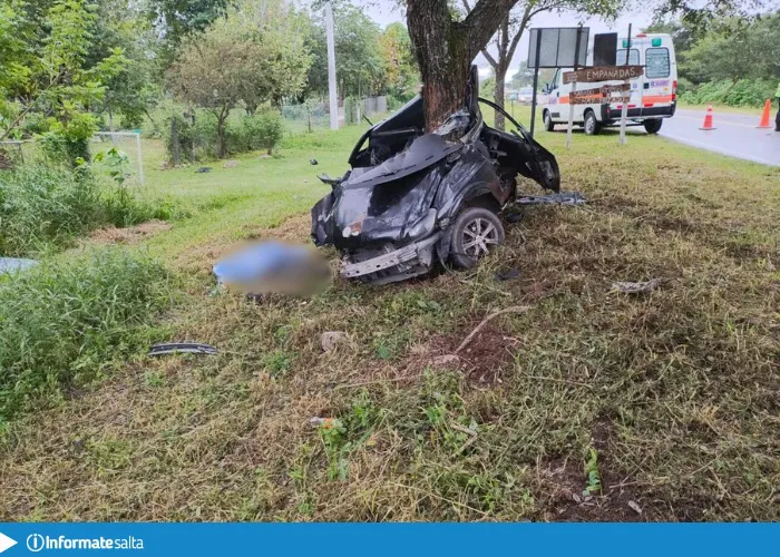 Auto choque arbol