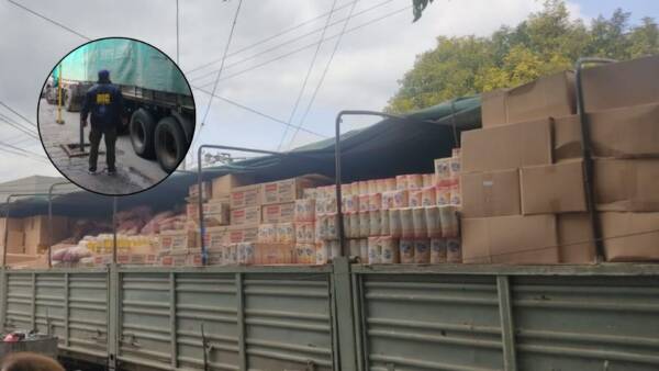 Camion mercaderia
