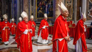 Cardenales 3