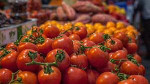 Tomates