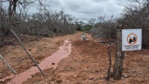 Derrame petroleo Oran