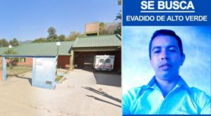 Es víctima de un acosador sexual que se encuentra prófugo y teme por su vida