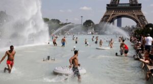 Europa arde: récords históricos, muertes y especies venenosas en una ola de calor sin precedentes